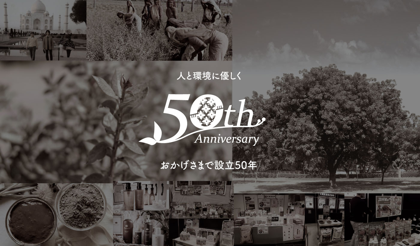 大興50th